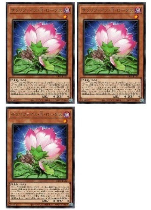 遊戯王OCG デュエルモンスターズ サクリファイス・D・ロータス PHNI PHNI-JP003 R 3枚セット 【中古】