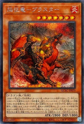 ͷ����OCG �ǥ奨���󥹥����� ����ε-�֥饹���� QCAC QCAC-JP079 SER ����š�