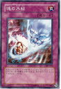 遊戯王OCG デュエルモンスターズ 魂の氷結 305 305-043 【中古】