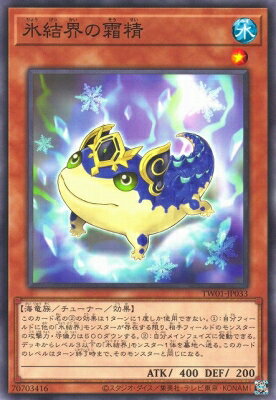 Хפ㤨ͷOCG ǥ奨󥹥 ɹ볦 TW01 TW01-JP033 šۡפβǤʤ19ߤˤʤޤ