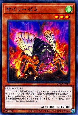 Хפ㤨ͷOCG ǥ奨󥹥 ꡼ AC02 AC02-JP027 NP šۡפβǤʤ19ߤˤʤޤ