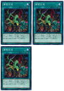 遊戯王OCG デュエルモンスターズ 捕食生成 DP22 DP22-JP055 3枚セット 【中古】