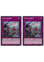 遊戯王OCG デュエルモンスターズ 弑逆の魔轟神 BLVO BLVO-JP073 2枚セット 【中古】