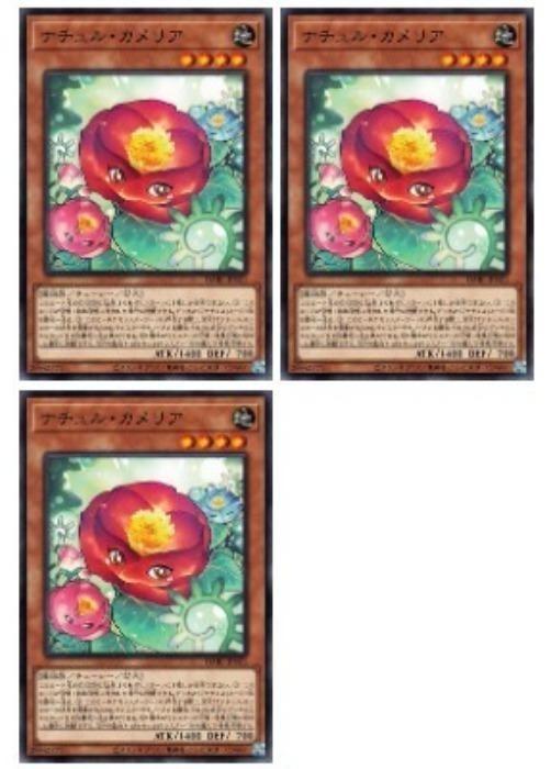 ͷ����OCG �ǥ奨���󥹥����� �ʥ���롦����ꥢ DABL DABL-JP021 3�祻�å� ����š�