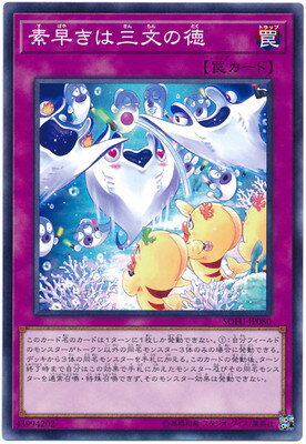 ͷ����OCG �ǥ奨���󥹥����� ���᤭�ϻ�ʸ���� SOFU SOFU-JP080 NR ����š�