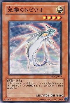 ͷ����OCG �ǥ奨���󥹥����� ���ڤΥȥӥ��� EXP1 EXP1-JP029 ����š�