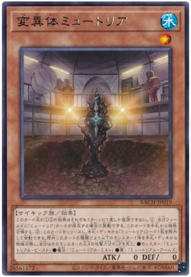 ͷ����OCG �ǥ奨���󥹥����� �Ѱ��Υߥ塼�ȥꥢ BACH BACH-JP019 R ����š�