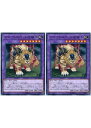 遊戯王OCG デュエルモンスターズ アマゾネスペット虎獅子 CP17 CP17-JP022 2枚セット 【中古】