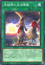 遊戯王OCG デュエルモンスターズ 氷結界に至る晴嵐 TW01 TW01-JP044 【中古】