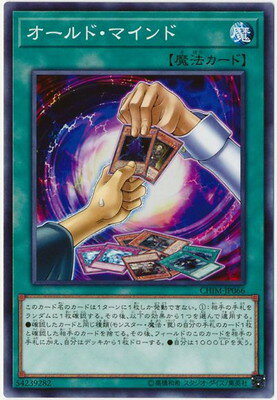 ͷ����OCG �ǥ奨���󥹥����� ������ɡ��ޥ���� CHIM CHIM-JP066 NR ����š�