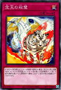 遊戯王OCG デュエルモンスターズ 宝玉の双璧 SD44 SD44-JP035 【中古】