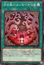 遊戯王OCG デュエルモンスターズ 白き森にはいるべからず INFO INFO-JP059 【中古】