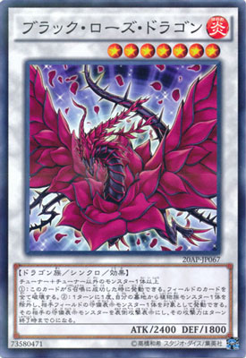 trc116066.jpg