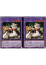 遊戯王OCG デュエルモンスターズ マスター・オブ・HAM PHNI PHNI-JP040 2枚セット 【中古】