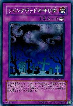 Хפ㤨ͷOCG ǥ奨󥹥 ӥ󥰥ǥåɤθƤ YSD2 YSD2-JP033 šۡפβǤʤ34ߤˤʤޤ