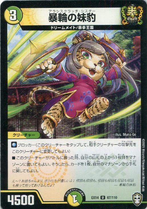 �ǥ奨�롦�ޥ������� ˽�ؤ���ɿ EX14 EX14 67/110 U ����š�