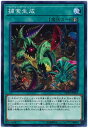 遊戯王OCG デュエルモンスターズ 捕食生成 DP22 DP22-JP055 【中古】