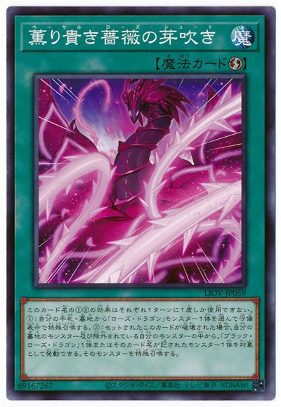 ͷ����OCG �ǥ奨���󥹥����� ���굮���鯤β�᤭ LIOV LIOV-JP059 ����š�