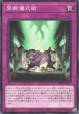 ͷ����OCG �ǥ奨���󥹥����� ���ǵ����� BPRO BPRO-JP077 ����š�