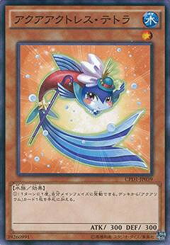 ͷOCG ǥ奨󥹥 ȥ쥹ƥȥ CPD1 CPD1-JP039 š