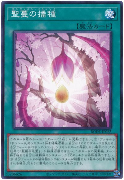 ͷOCG ǥ奨󥹥 ̢ż BODE BODE-JP065 š