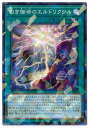 遊戯王OCG デュエルモンスターズ 白き宿命のエルドリクシル DBSS DBSS-JP030 NP 【中古】