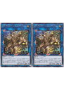 遊戯王OCG デュエルモンスターズ 星界樹イルミスティル INFO INFO-JP051 R 2枚セット 【中古】