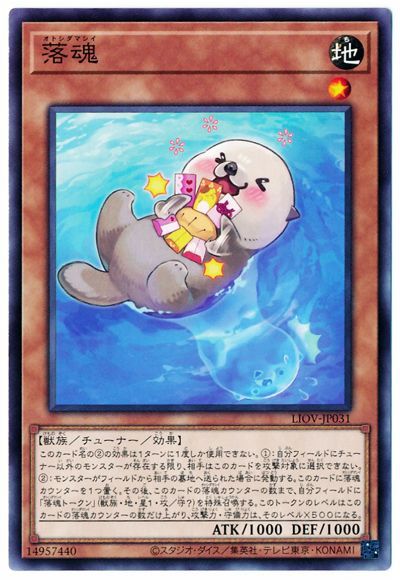 ͷ����OCG �ǥ奨���󥹥����� � LIOV LIOV-JP031 NR ����š�