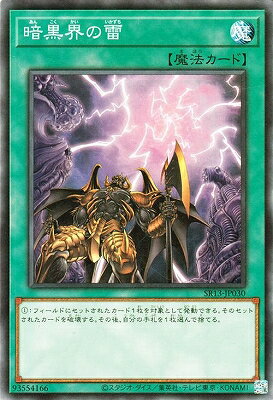 Хפ㤨ͷOCG ǥ奨󥹥 Ź SR13 SR13-JP030 šۡפβǤʤ19ߤˤʤޤ