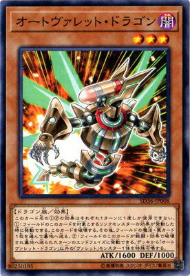 ͷ����OCG �ǥ奨���󥹥����� �����ȥ�����åȡ��ɥ饴�� SD36 SD36-JP008 ����š�