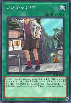 ͷ����OCG �ǥ奨���󥹥����� �������!? DBJH DBJH-JP028 ����š�