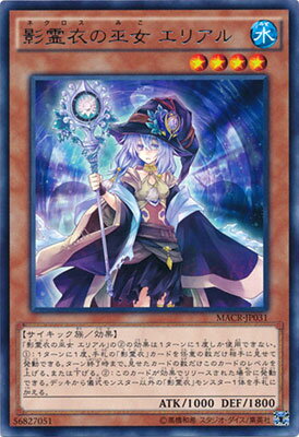 ͷ����OCG �ǥ奨���󥹥����� ��������� ���ꥢ�� MACR MACR-JP031 R ����š�