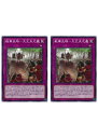 遊戯王OCG デュエルモンスターズ 戦華史略-大丈夫之義 BLVO BLVO-JP074 2枚セット 【中古】
