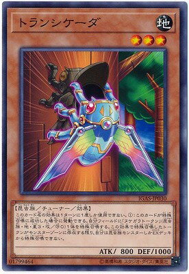 ͷOCG ǥ奨󥹥 ȥ󥷥 IGAS IGAS-JP030 š