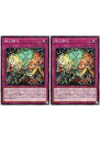 遊戯王OCG デュエルモンスターズ 燦幻開花 INFO INFO-JP073 2枚セット 【中古】
