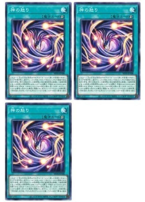 ͷ����OCG �ǥ奨���󥹥����� �����ܤ� WPP6 WPP6-JP008 3�祻�å� ����š�