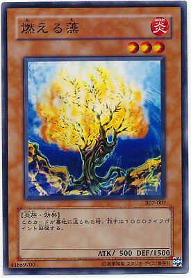 ͷ����OCG �ǥ奨���󥹥����� ǳ������ 307 307-007 ����š�