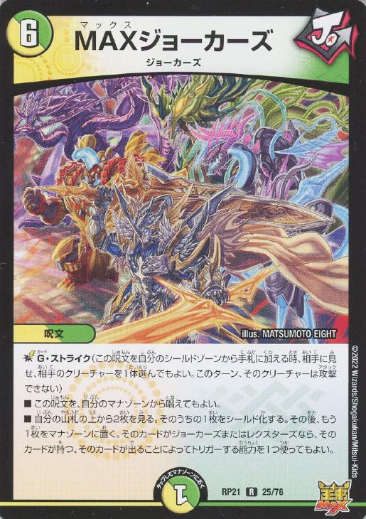 �ǥ奨�롦�ޥ������� MAX���硼������ RP21 RP21 25/76 R ����š�