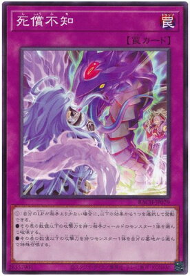 ͷ����OCG �ǥ奨���󥹥����� ������� BACH BACH-JP079 ����š�