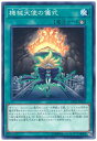 遊戯王OCG デュエルモンスターズ 機械天使の儀式 DP21 DP21-JP021 【中古】