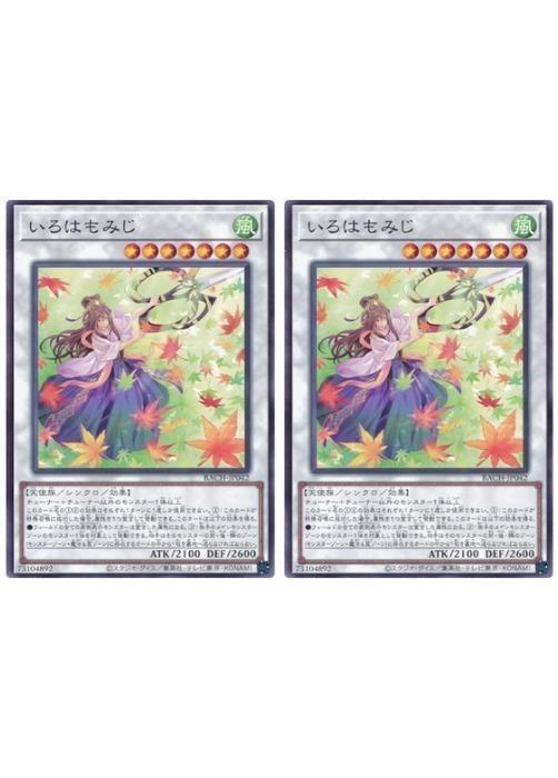 Хפ㤨ͷOCG ǥ奨󥹥 Ϥߤ BACH BACH-JP042 2祻å šۡפβǤʤ19ߤˤʤޤ