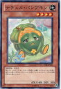遊戯王OCG デュエルモンスターズ ナチュル・パンプキン STBL STBL-JP031 【中古】