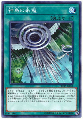 ͷ����OCG �ǥ奨���󥹥����� ��Ļ������ RIRA RIRA-JP061 ����š�