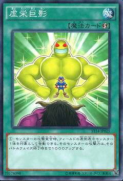 Хפ㤨ͷOCG ǥ奨󥹥 ɵ ST14 ST14-JP025 šۡפβǤʤ29ߤˤʤޤ