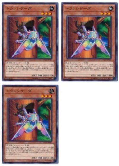 ͷ����OCG �ǥ奨���󥹥����� �ȥ�󥷥����� IGAS IGAS-JP030 3�祻�å� ����š�