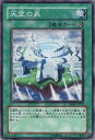 遊戯王OCG デュエルモンスターズ 天空の泉 TSHD TSHD-JP052 【中古】