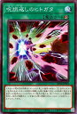 遊戯王OCG デュエルモンスターズ 呪詛返しのヒトガタ AC02 AC02-JP023 【中古】