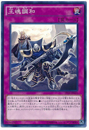 遊戯王OCG デュエルモンスターズ 王魂調和 PP18 PP18-JP019 【中古】