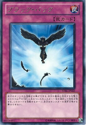 遊戯王OCG デュエルモンスターズ ブラック・バック STBL STBL-JP065 R 【中古】