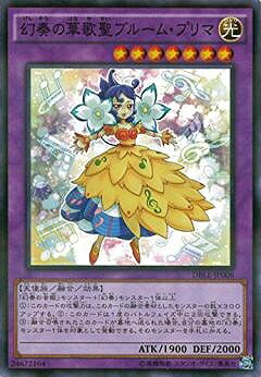 ͷOCG ǥ奨󥹥 դβڲ֥롼ࡦץ DBLE DBLE-JP008 NP š